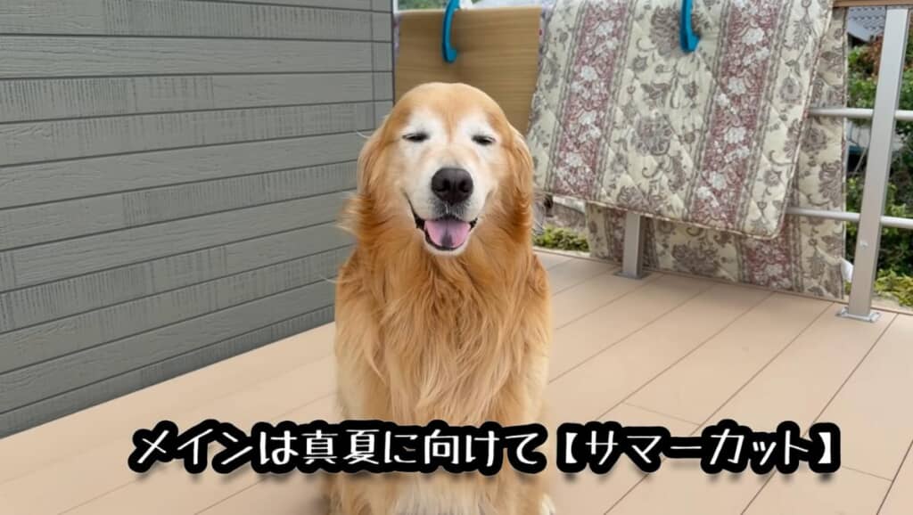 ビフォーのホットくん