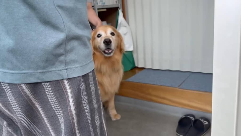 しばしのお別れです