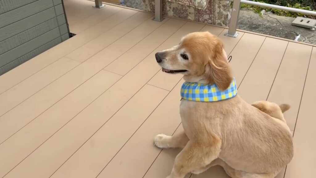 ひと回り小さくなってスッキリ!