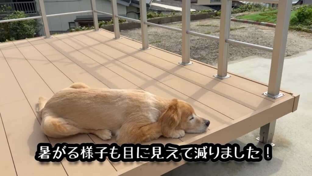 これなら暑い夏も乗り越えられますね!