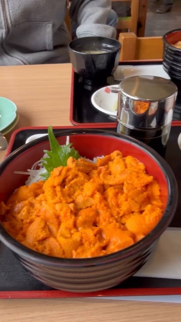 濃厚でうまそうなウニがびっしり