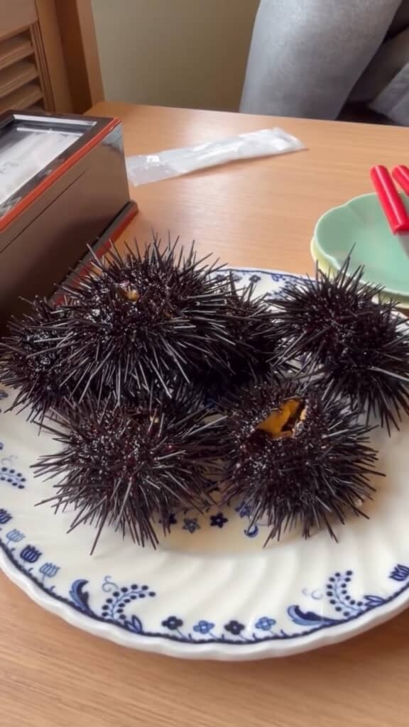 丸ごと出てくる活ウニ