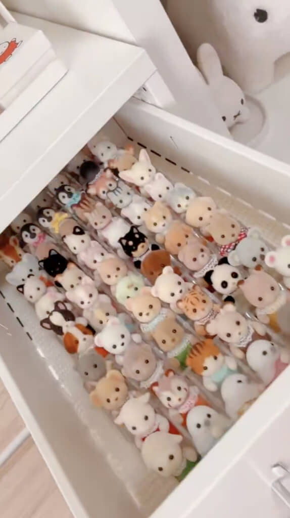 60体以上もの赤ちゃんが!