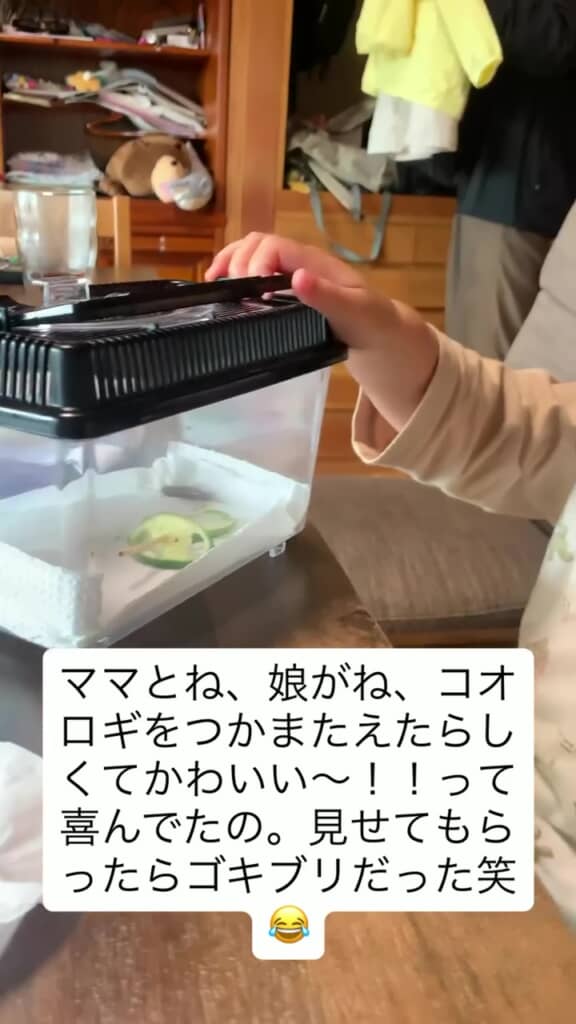 撮影している父親の前に差し出された虫かご