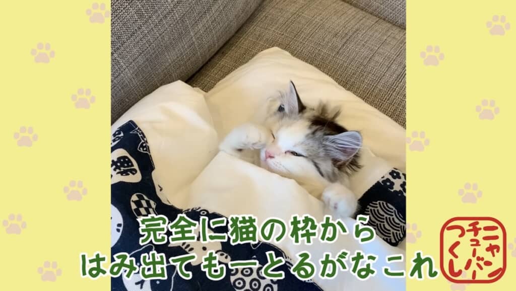 愉快な大の字