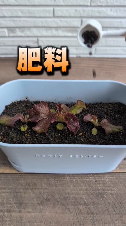 肥料もくわえます