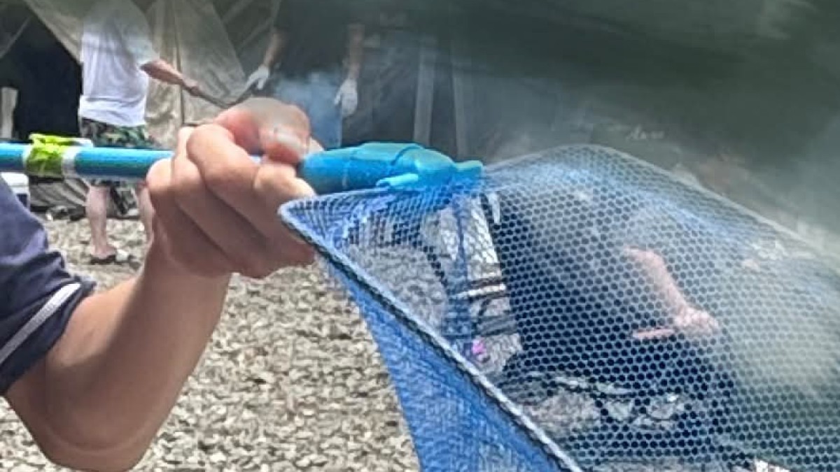 家族で川遊びへ→高1息子が100均の網でつかまえたのは……「すごい！」　“衝撃の光景”に「めっちゃ大きい！」「楽しそう」（1/2） | ライフスタイル ねとらぼ