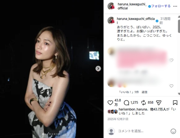 2025年12月にはInstagramでドレス姿を披露(川口春奈Instagramより)
