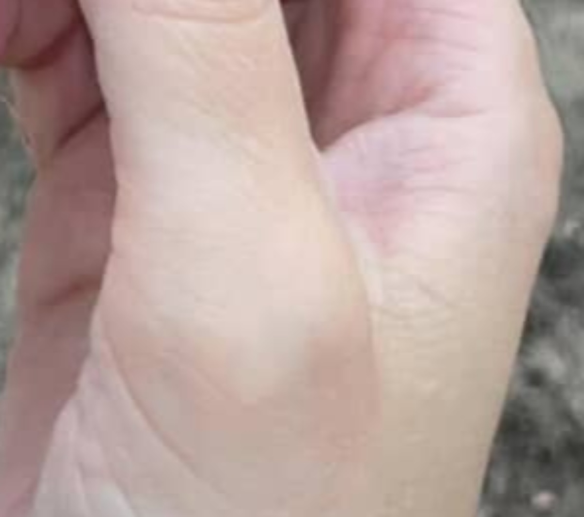 松の木の下に落ちていた奇妙な形の物体→拾ってみると……　驚きの光景に反響「どこからどう見ても……」「これは名作」（1/3） | ライフスタイル ねとらぼ