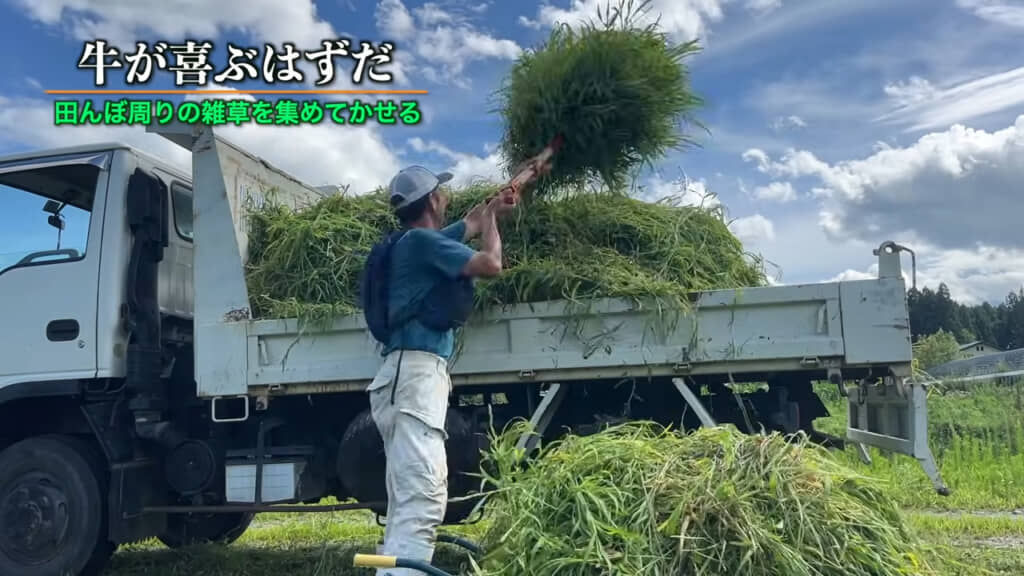 雑草をひたすら積む