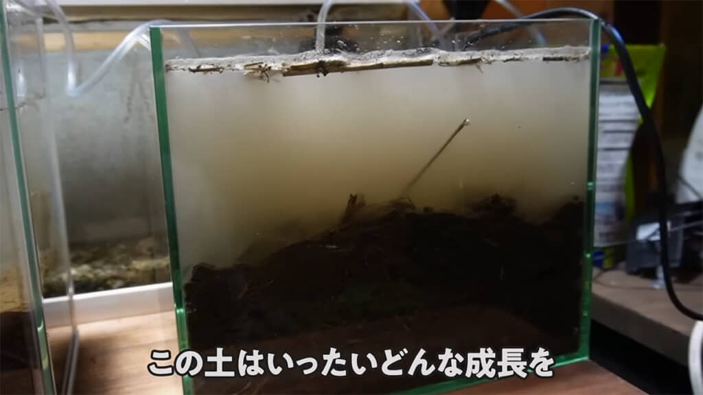 水槽に土と水を入れ、エアレーションとヒーター、水温計をセット