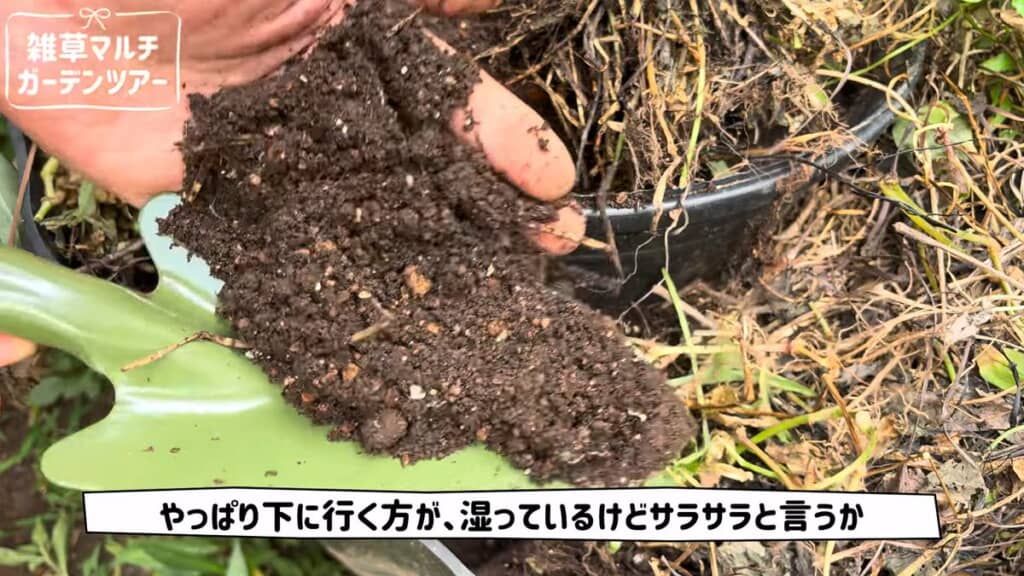 下層に埋まっていた湿っているけどサラサラな土