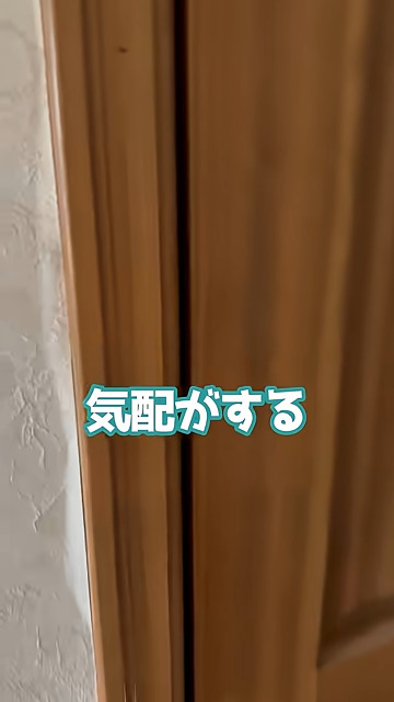 こっそり扉をオープン