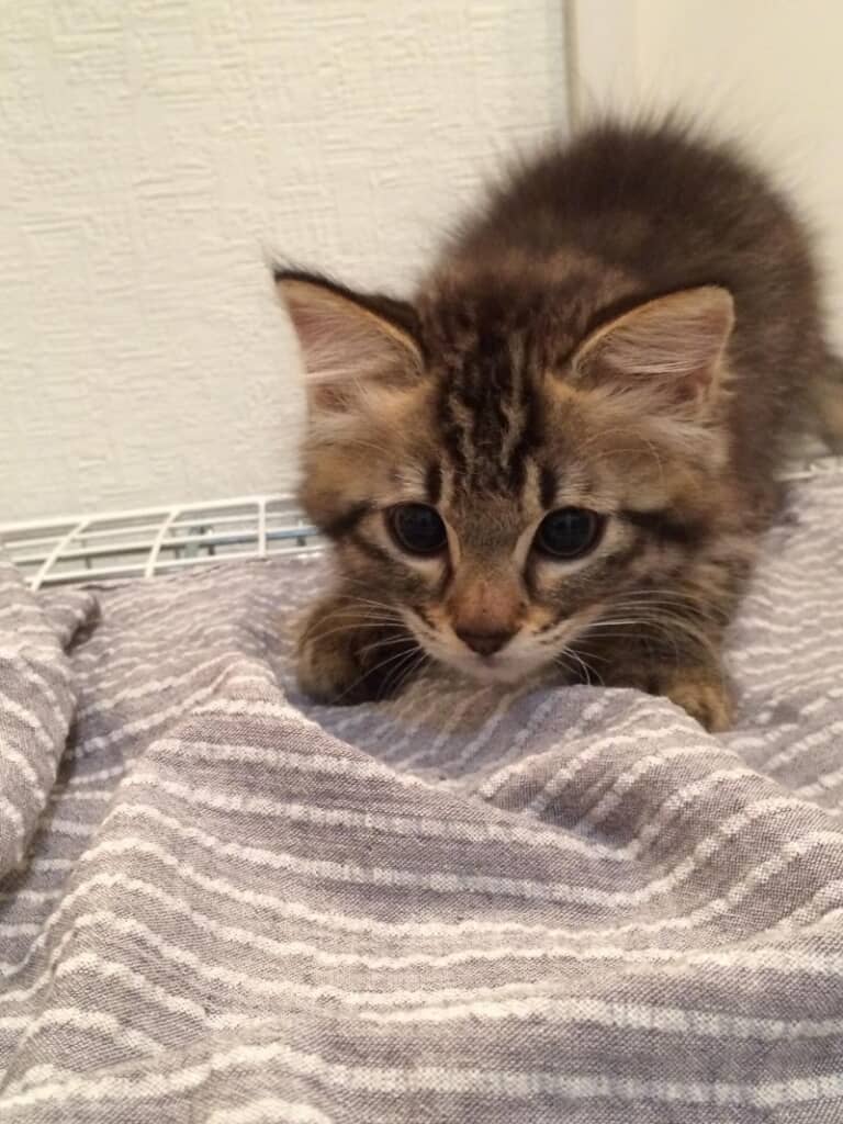 ちょっと怖がってる？