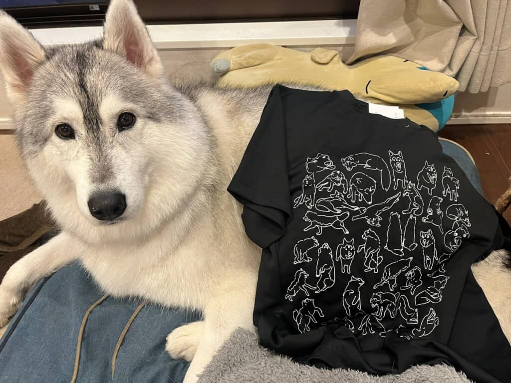新しいお洋服が届いて嬉しそう