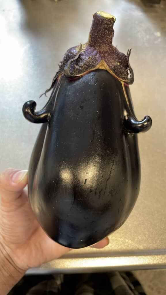愛らしい！