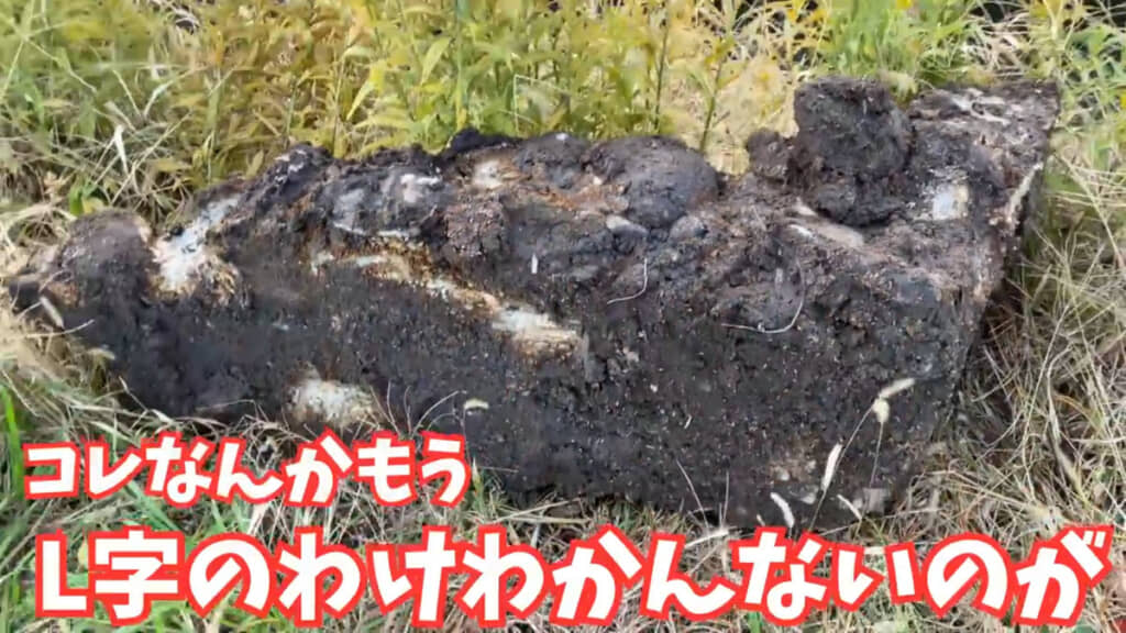 こちらは特に気になる形をしています