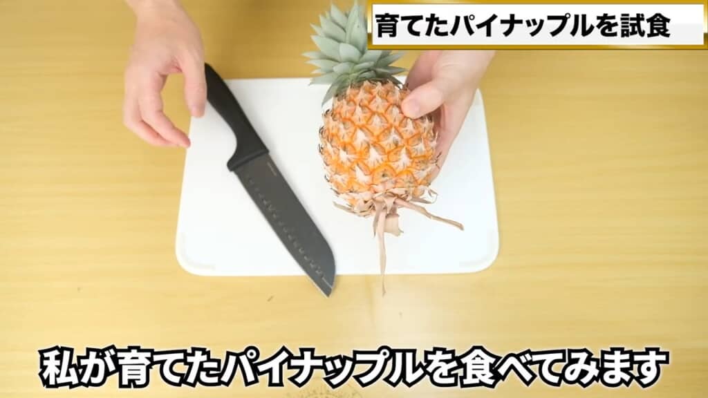 約5年の成果を試食