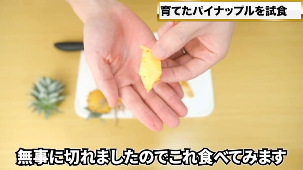 缶詰に入っているようなカットパインに