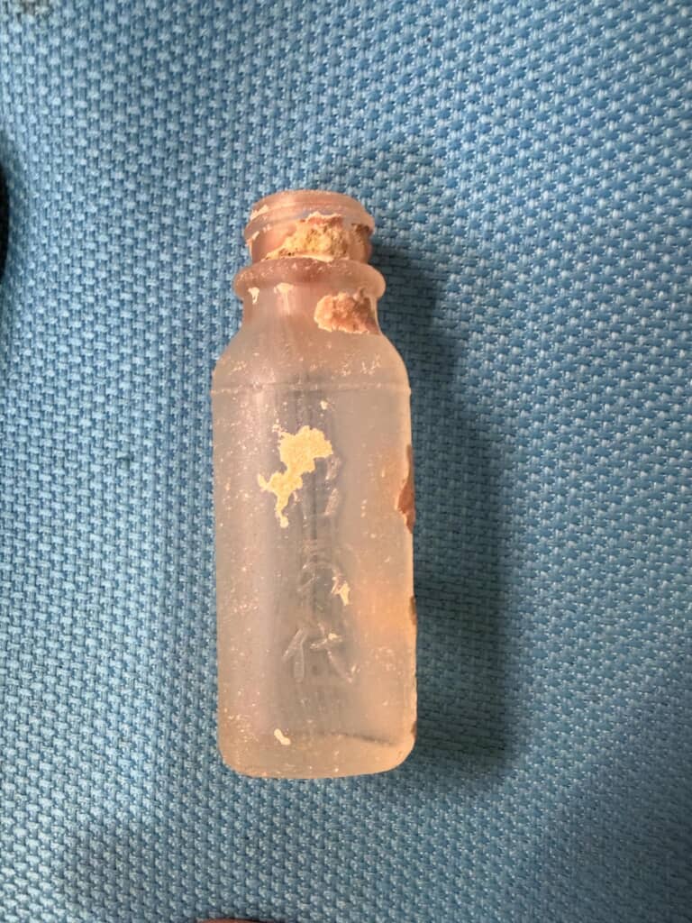 千葉の海で見つけたもの