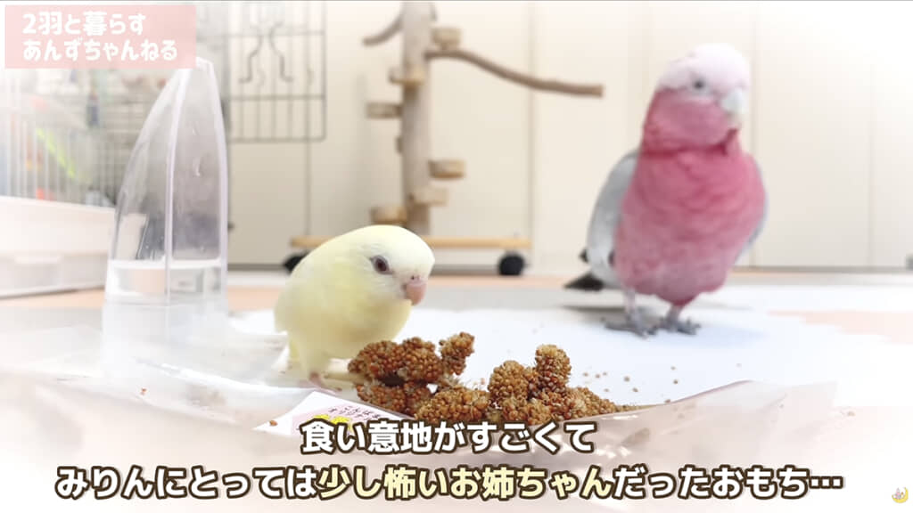 お姉ちゃんともっと遊びたかったのかもしれません