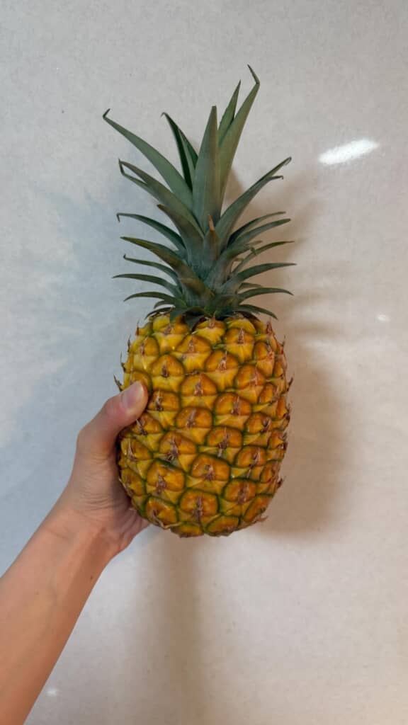 自家栽培でこんなに大きなパイナップルが！