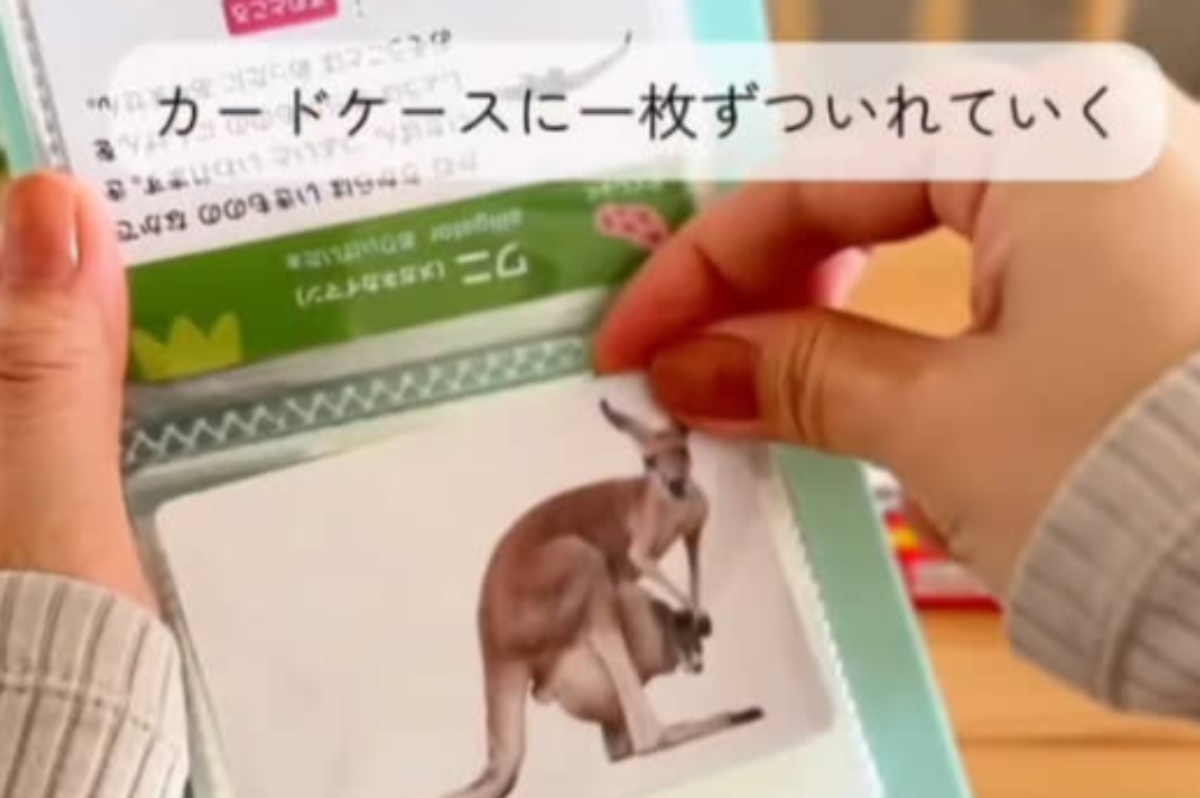 ダイソーの“カードケース”をペラペラめくると…… 子どもが夢中になる完成品に「凄い!」「ぜひ真似させてください」(1/2) | 育児 ねとらぼ