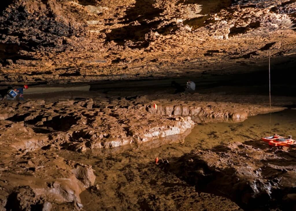 目のない新種の魚が発見された米アラバマ州のボブキャット洞窟