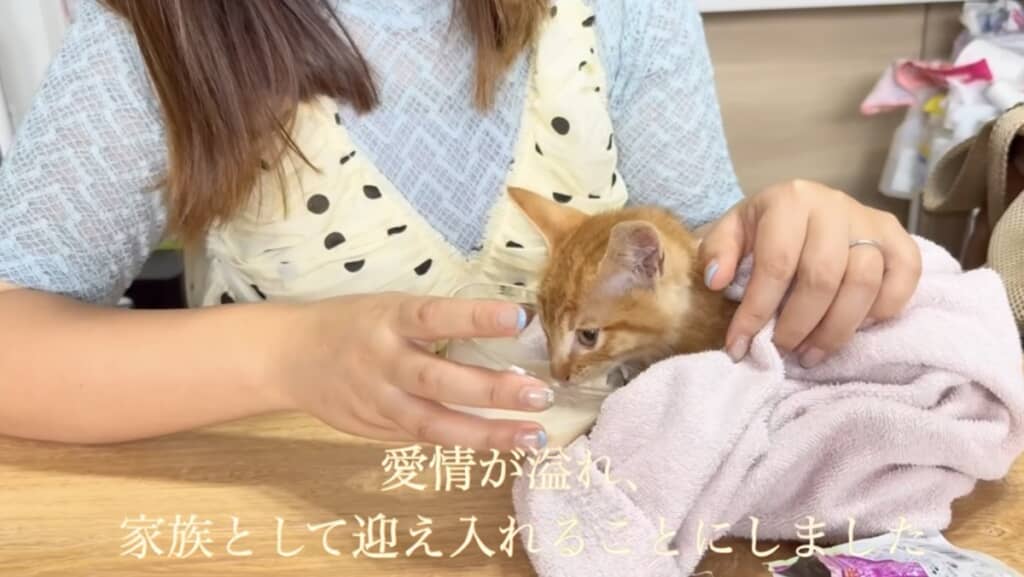 お迎えすることを決意しました