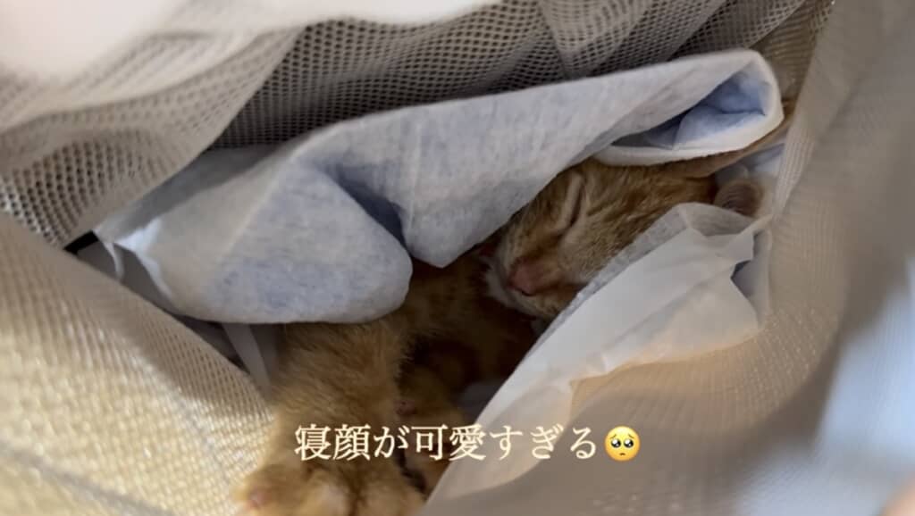 抱っこ紐が落ち着くみたい