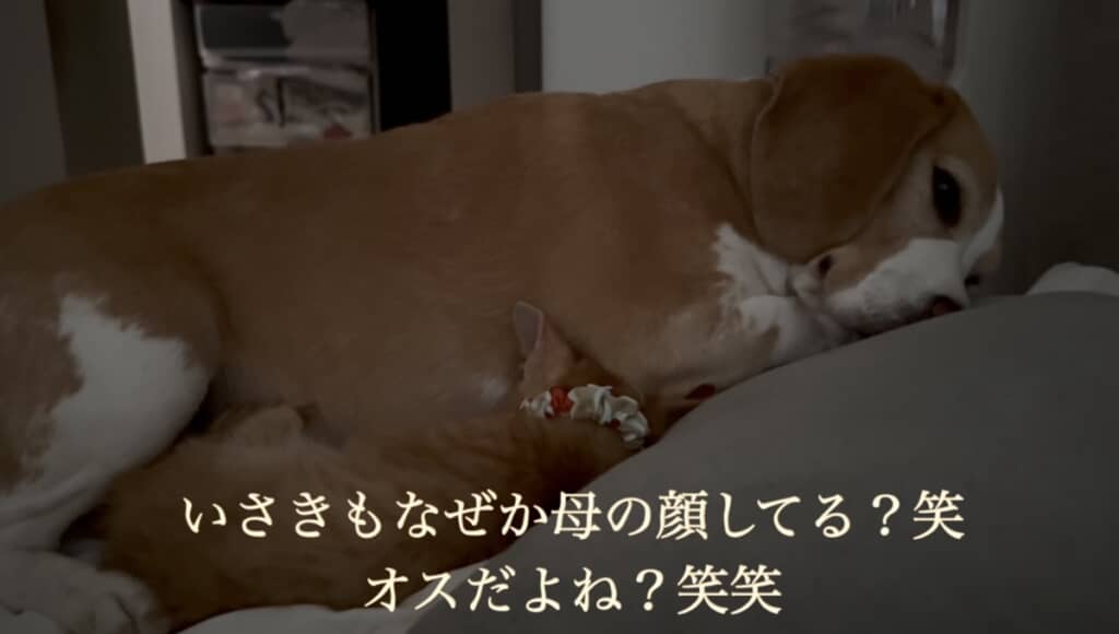 これからもたくさん甘えさせてもらおうね!