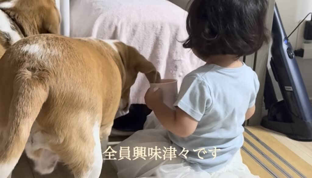 みんな子猫が気になります