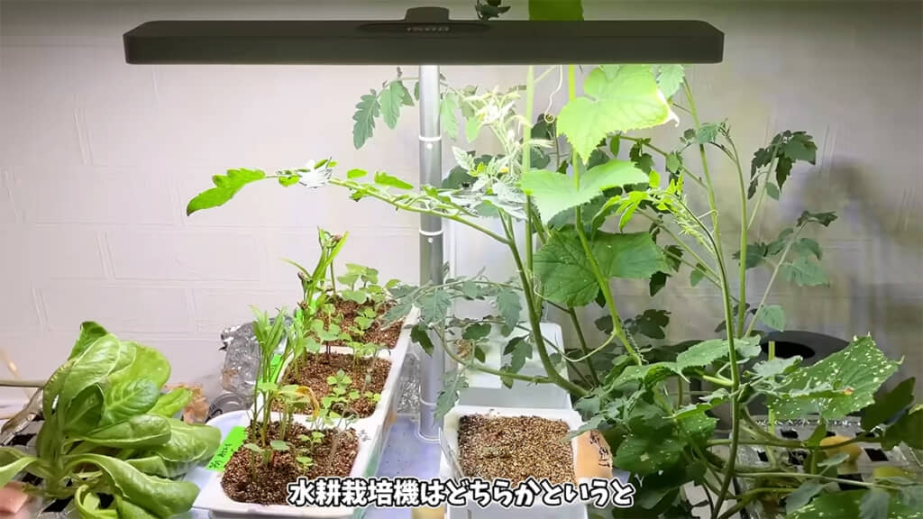 育苗用の水耕栽培器もあります