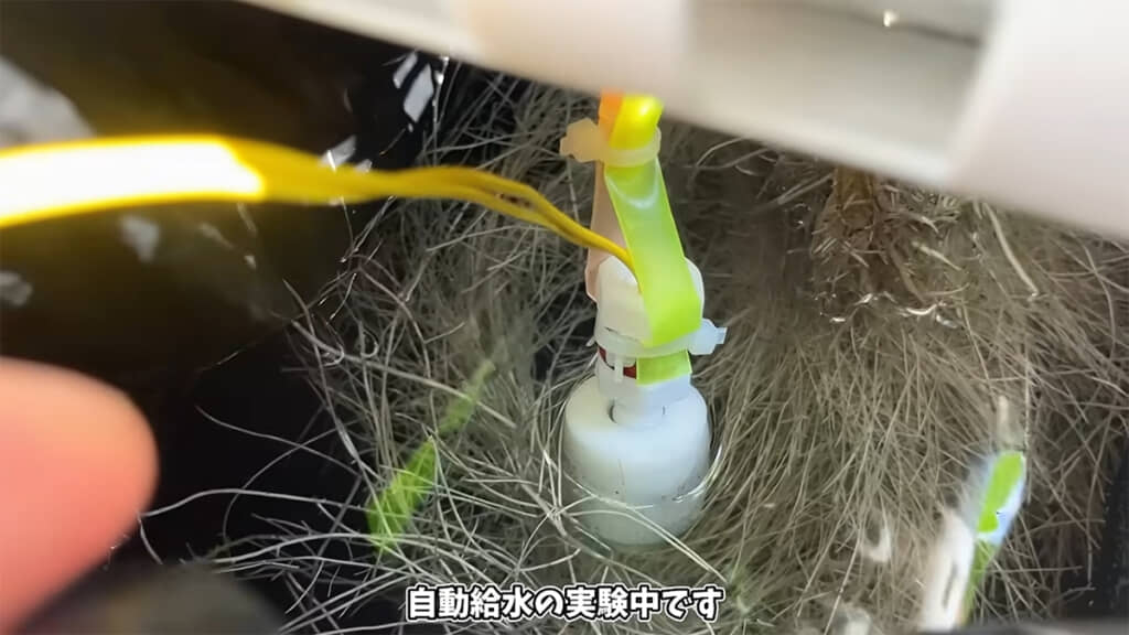 オクラで自作自動給水機の実験中です