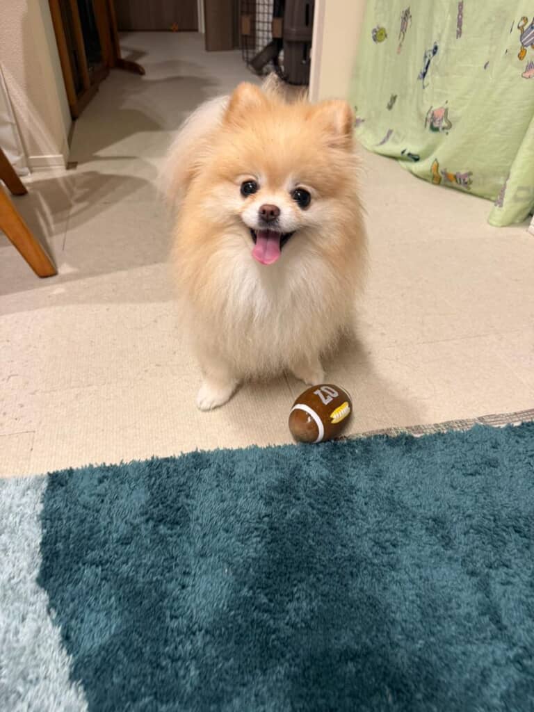 お家でたくさん遊びました