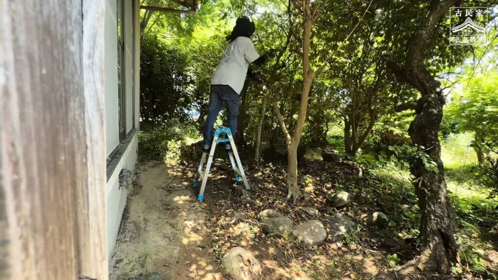 ハサミで木の剪定をして