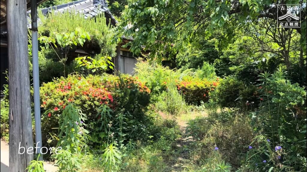 雑草や木が生い茂っていた通路は