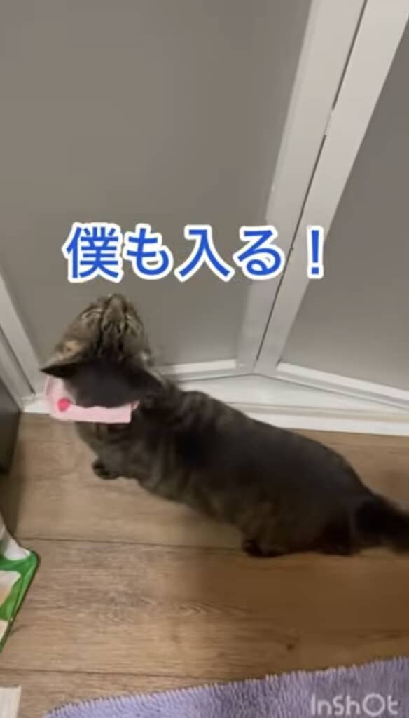 一緒に入りたいクロちゃん