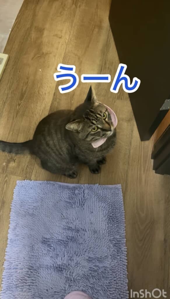 不満げにお返事