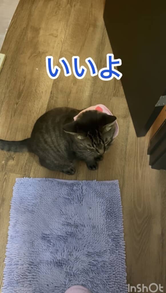 渋々、了承してくれました