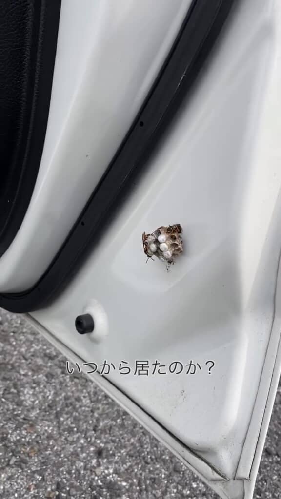 「まさかこんな場所に」