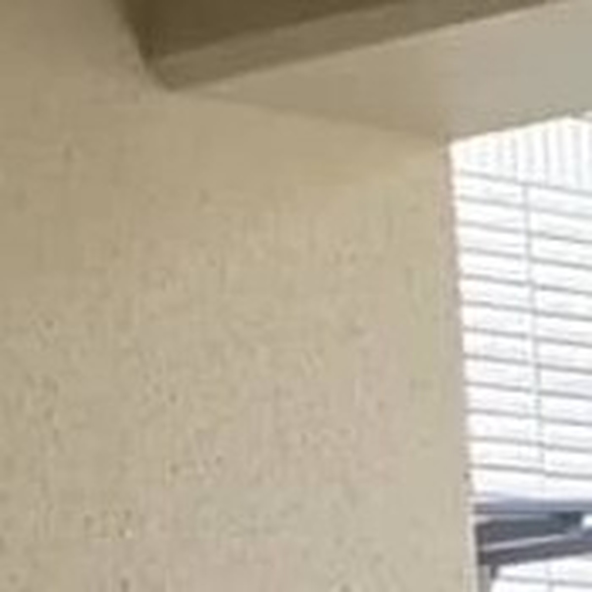 「いつまで帰ってくんの？」庭で絶句した“大規模里帰り”が59万再生「巣立てよぉぉぉ…」「ずっとのおうち？」（1/3） | ライフスタイル ねとらぼ