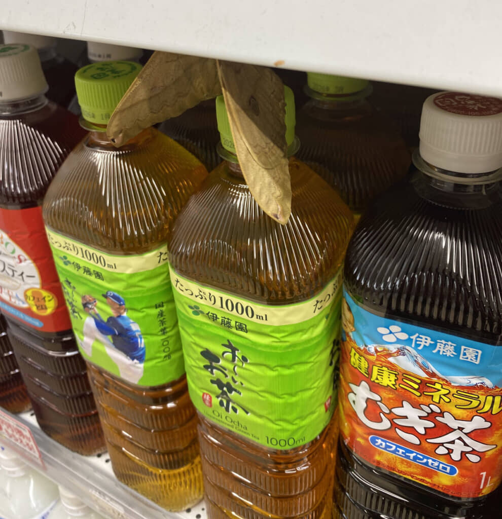 すごいところにすごいものが……