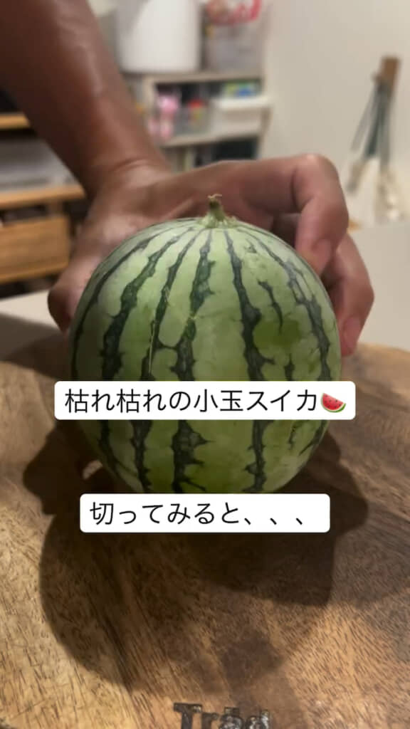 元気のない感じのスイカですが……