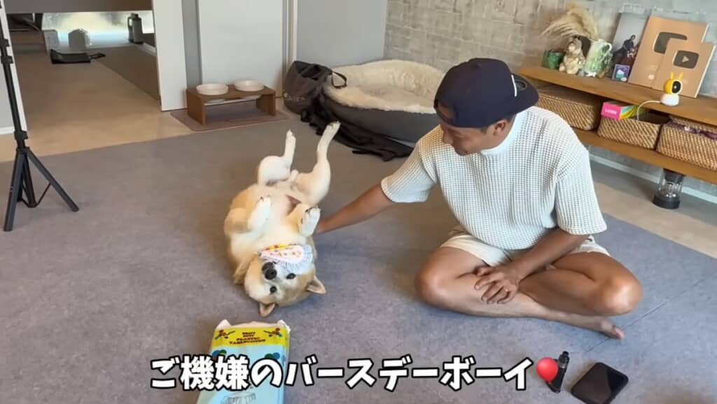8歳のお誕生日を迎えました