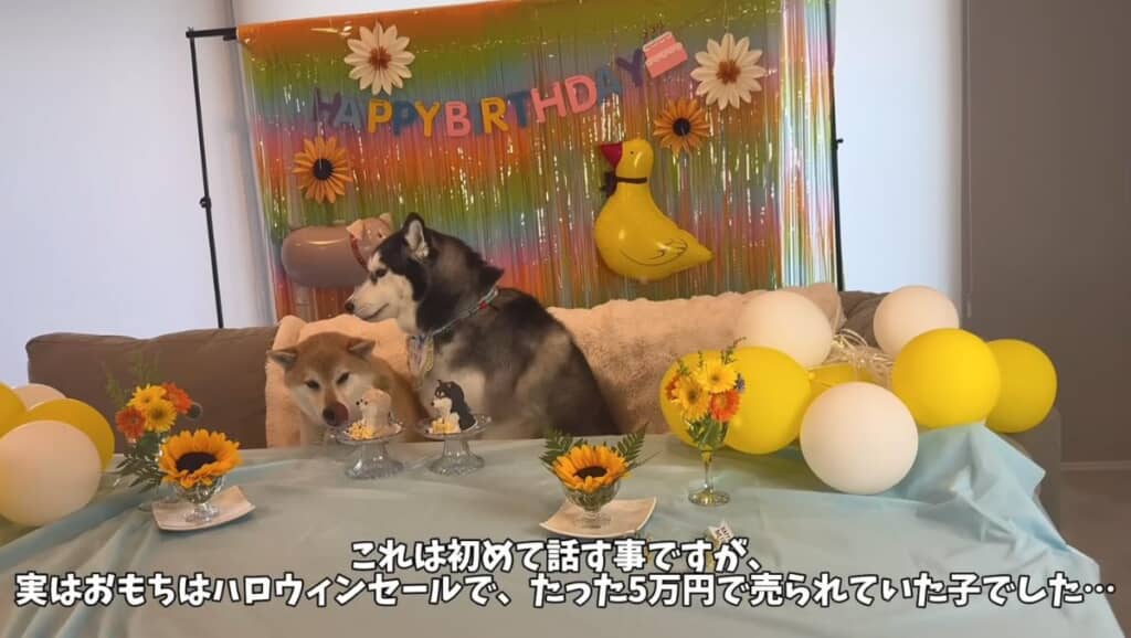 楽しい時間を過ごす中、ママさんはあることを振り返ります