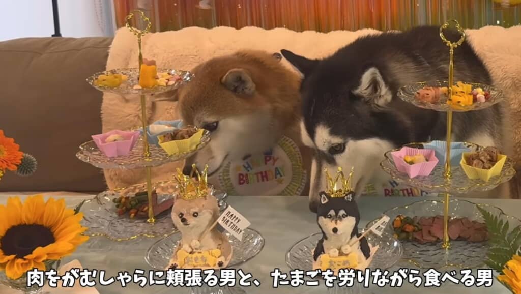 待ちに待ったごはん！