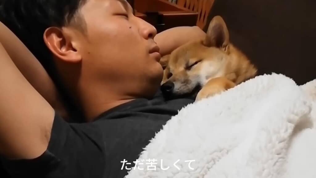 値段関係なく愛情をたくさん注ぎました