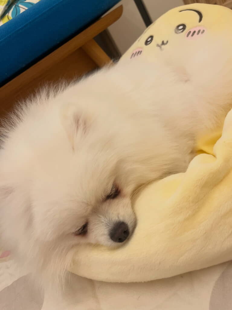 ねむねむぽむくん