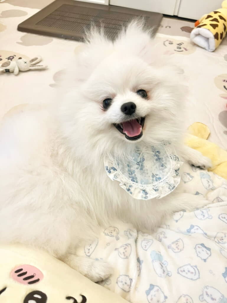スタイもかわいい!
